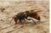 Capture d’écran 2025-11-24 à 18.06.16.png